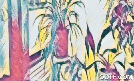 美颜特效相机手机最新版 美颜特效相机手机最新版