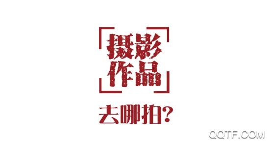 哪拍网App最新版