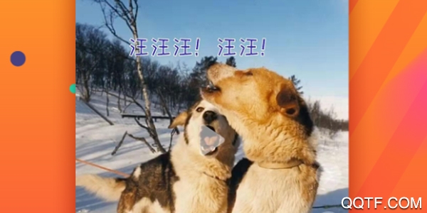 字幕君 字幕君