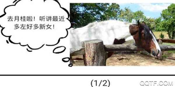 漫格 漫格
