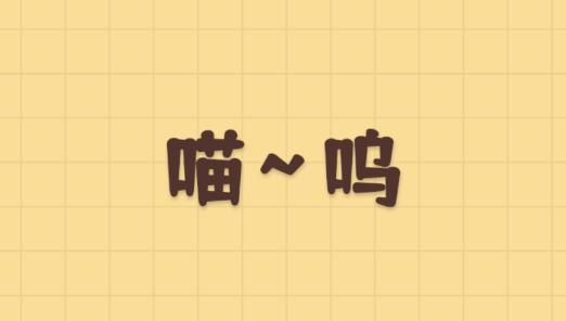 喵喵撸猫app最新版