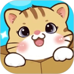 猫咪请就位
