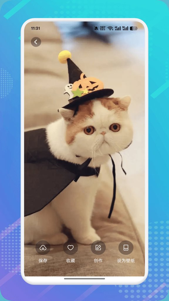 猫咪社区3.0 猫咪社区3.0