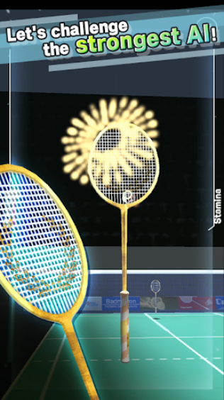 Badminton安装器 Badminton安装器