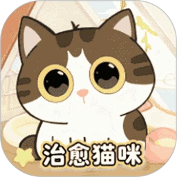 猫咪最新