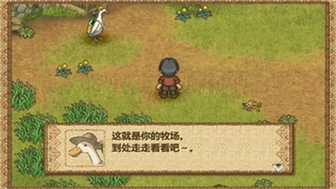 欢迎来到实力至上主义的教室中文版app 欢迎来到实力至上主义的教室中文版app