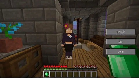 珍妮模组安装包1.9.0直装版