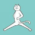 围住神经猫Ⅱ