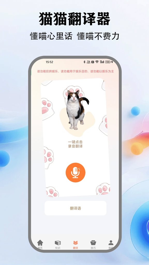 猫咪最新官方版