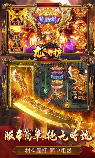龙之守护 龙之守护
