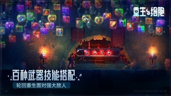 死亡细胞最新2026手机版
