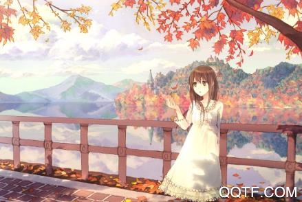 小鸟次元圈app苹果版