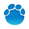 大象新闻空中课堂ios