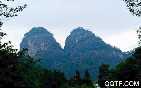 新双峰手机客户端