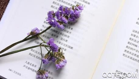 米粒小说app苹果版 米粒小说app苹果版