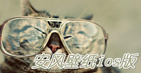 安风壁纸ios版 安风壁纸ios版