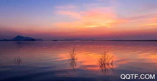 掌上柴桑苹果系统 掌上柴桑苹果系统