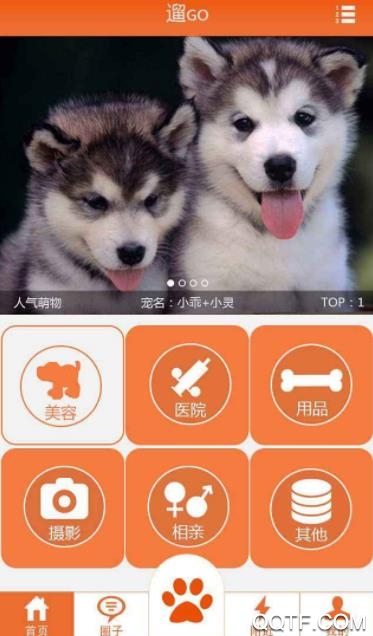 慧小宠管理端官方版