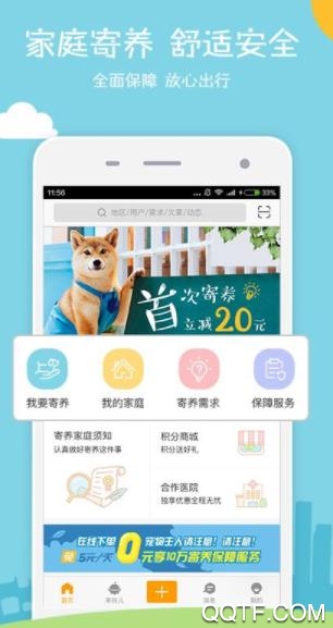 千千小猫寄养最新版