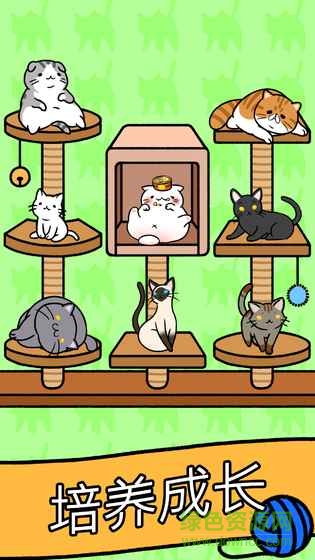 猫咪公寓喵友日记 猫咪公寓喵友日记