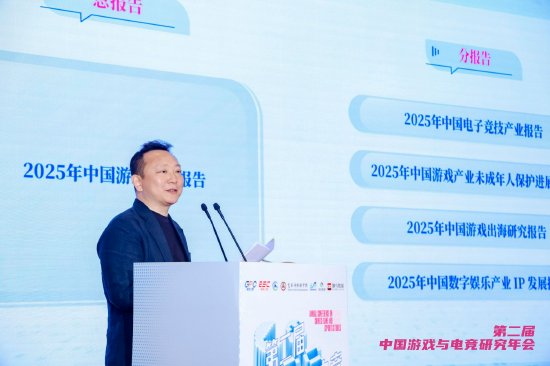 北京师范大学艺术与传媒学院教授、中国音数协游戏专委会副主任委员 何威