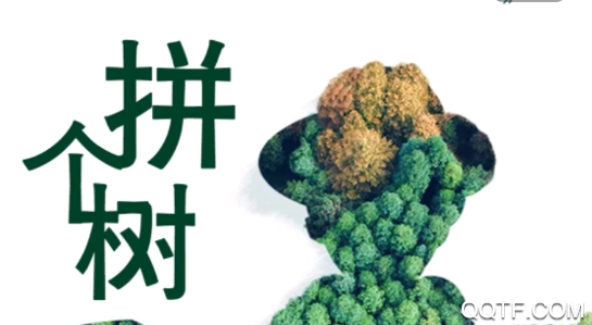 拼个树app安卓版 拼个树app安卓版