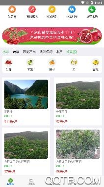 旺土地app手机版