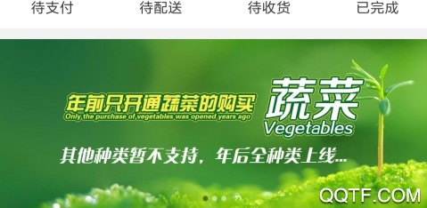 配奇鲜生最新版