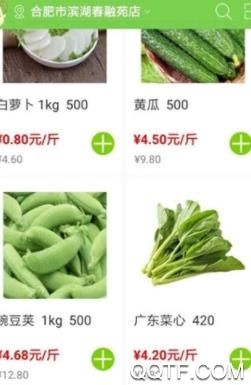 绿白菜App最新版 绿白菜App最新版