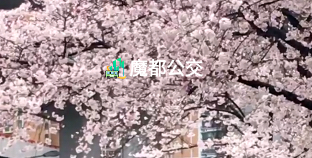 上海魔都公交app安卓版 上海魔都公交app安卓版