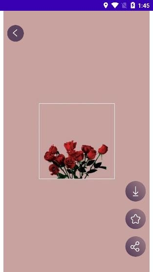 百变鸦头像馆app手机版