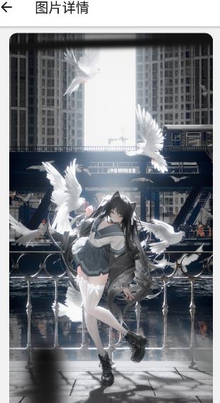 氧气动态壁纸app手机版 氧气动态壁纸app手机版