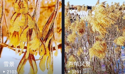 高清壁纸秀软件下载 高清壁纸秀软件下载