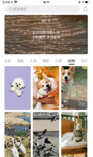 topwidgets万能小组件