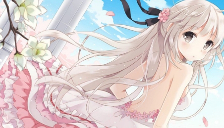 主题樱花壁纸app安卓版
