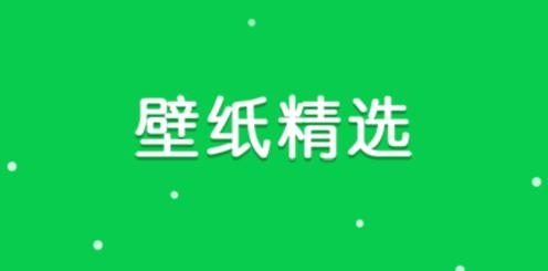 壁纸精选app最新版 壁纸精选app最新版