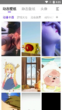 天天动态壁纸app免费版 天天动态壁纸app免费版