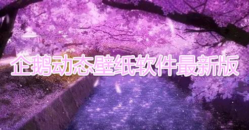 企鹅动态壁纸软件最新版(Dynamic Wallpaper) 企鹅动态壁纸软件最新版(Dynamic Wallpaper)