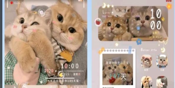 vivo主题下载器手机版 vivo主题下载器手机版