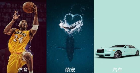 壁纸主题大全app最新版