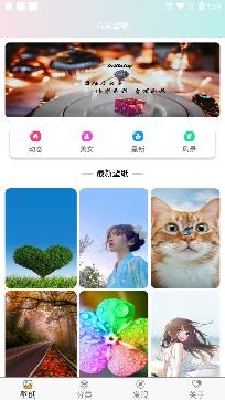 壁纸主题大全app最新版