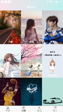 壁纸主题大全app最新版