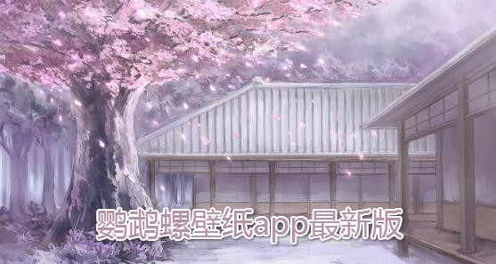 鹦鹉螺壁纸app最新版