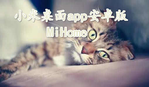 小米桌面app安卓版(MiHome)