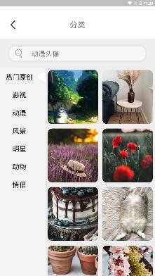 手机壁纸大师app安卓版 手机壁纸大师app安卓版