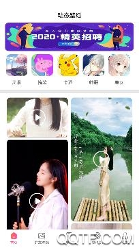 精灵动态壁纸大全最新版 精灵动态壁纸大全最新版