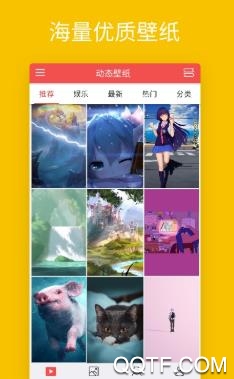手机动态壁纸app最新版