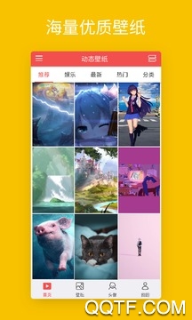 V壁纸app官方版 V壁纸app官方版