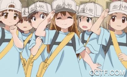 血小板桌宠app最新版 血小板桌宠app最新版