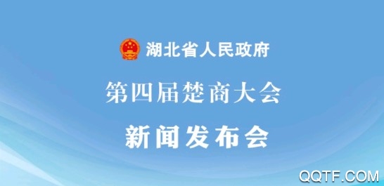 湖北省政府app